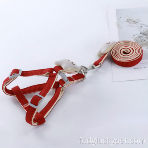 Collier à griffes de haute qualité pour chiens